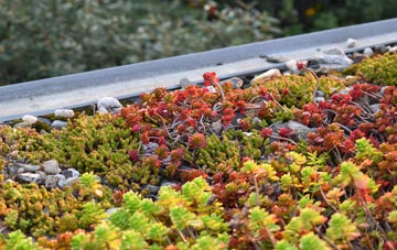 the cost of Yarrow green roof installation