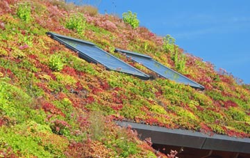 Yarrow living roof systems